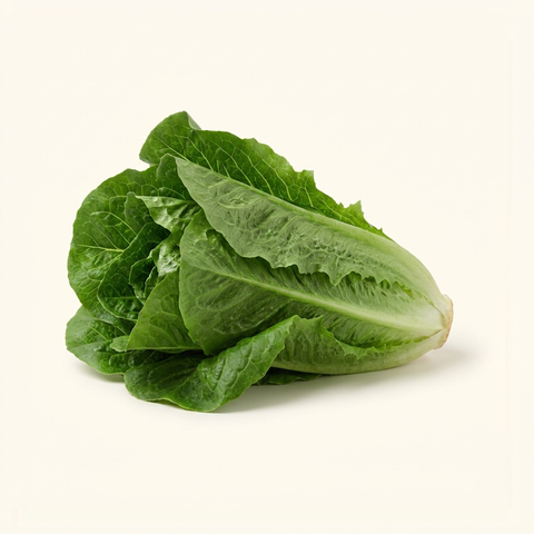 Romaine Lettuce