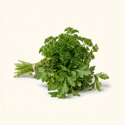 Italian Parsley