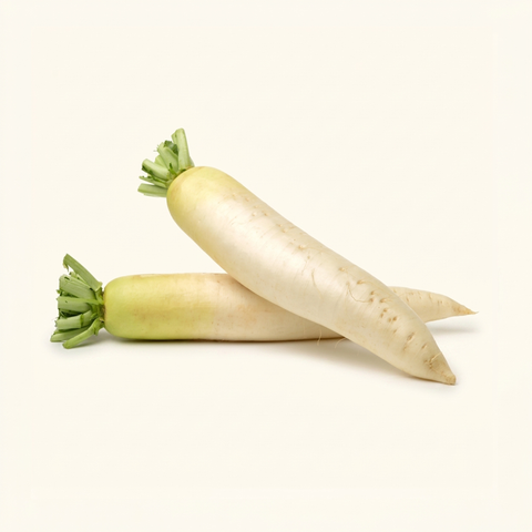 Radish