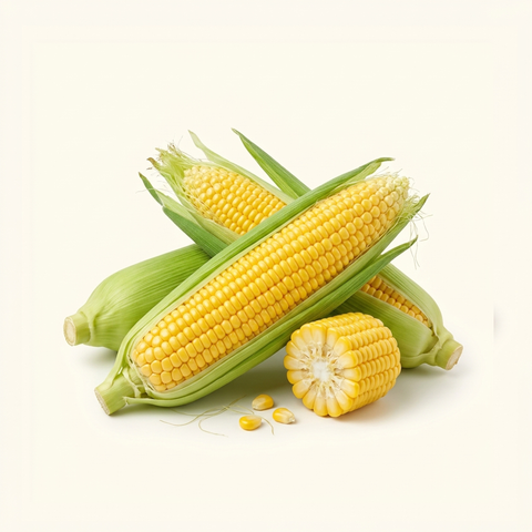 Sweet Corn